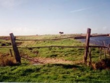 Marais Breton  Bourgneuf-en-retz