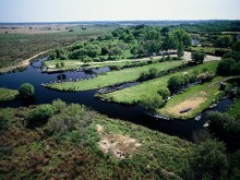 Parc Naturel RÉgional De BriÈre  La Chapelle-des-marais