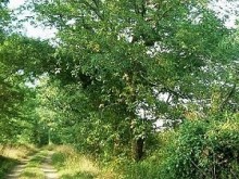 CIRCUIT DE LA FONTAINE DES COQUELINIERES
