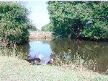 Circuit De La Tabardiere  La Plaine-sur-mer