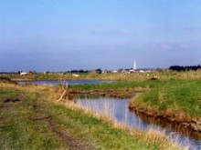 Circuit Des Migrateurs  Bourgneuf-en-retz