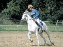 Circuit D'huchepie  Pornic