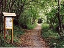 Circuits Dans Le Bocage Ouest  Pruillé-le-chétif