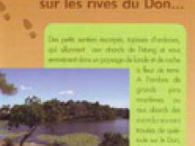 Une Nature De Charme Sur Les Rives Du Don  Moisdon-la-rivière