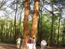 Parc De Beaupreau  Beaupréau