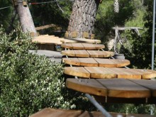 Indian Forest Bouc Bel Air  Bouc-bel-air