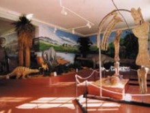 Museumd'histoire Naturelle  Aix En Provence