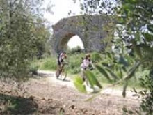 Aqueduc Et Meunerie De Barbegal  Fontvieille