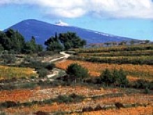 Le Mont-ventoux  Bédoin