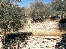 Conservatoire Des Terrasses De Cultures De Goult 