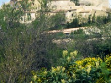 Chapelle Notre-dame Du Groseau  Malaucène