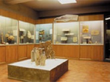 Musée Requien  Avignon