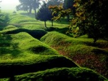 Memorial Terre-neuvien  Beaumont-hamel