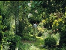 Jardin De Dan  Halloy-lès-pernois