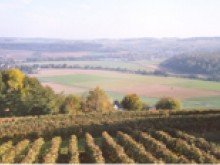 Champagne Boucant-thiery  Bonneil