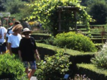 Jardin Botanique De Samara  La Chaussée-tirancourt