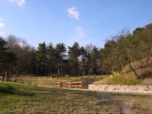 PLATEAU DE CALIFORNIE