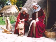 DOMUS CASTRI - HABITAT CASTRAL DE L'AN MIL
