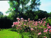 Jardin Les Vignes  Saint-fuscien