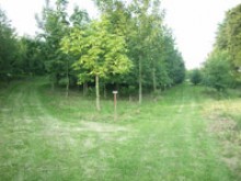 Arboretum  Vervins
