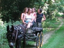 La Ferme Bio Du Developpement Durable  Herleville