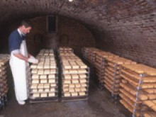 Ferme De Maliecourt  Oisy