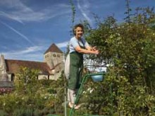 Les Jardins De Viels-maisons 