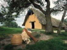 Samara  La Chaussée-tirancourt