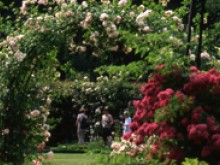 Parc Et Roseraie De L'abbaye De Chaalis  Fontaine-chaalis