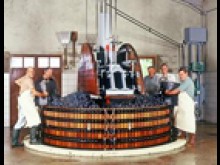 Champagne Sourdet-diot  La Chapelle-monthodon