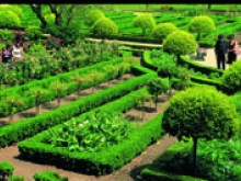 Jardin Des Plantes  Amiens