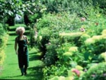 Jardins De Maizicourt 