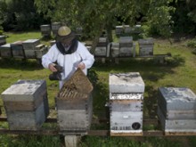 LES ATELIERS DE L'ABEILLE