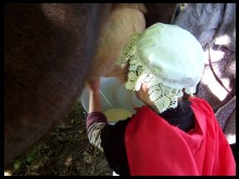 Ferme De La Liesse  Le Nouvion-en-thiérache