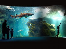 Aquarium La Rochelle 