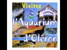 Aquarium D'oléron  Saint-pierre-d'oléron