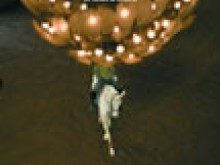 Académie Du Spectacle Equestre  Versailles