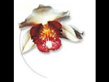 Jardins Du Monde  Royan