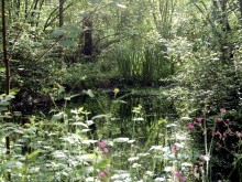 Arboretum Du Chêne Vert  Chabanais