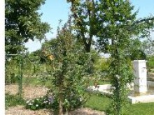 Le Jardin De Pomone  Saint-jean-d'angély