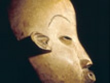 Palais De La Porte Dorée - Aquarium Tropical  Paris