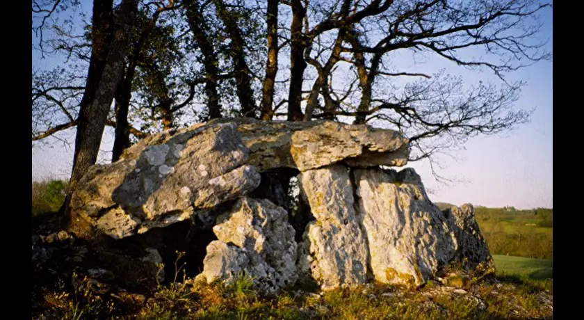 Allée Couverte préhistorique de Peyrelevade, à Bellefond (33)