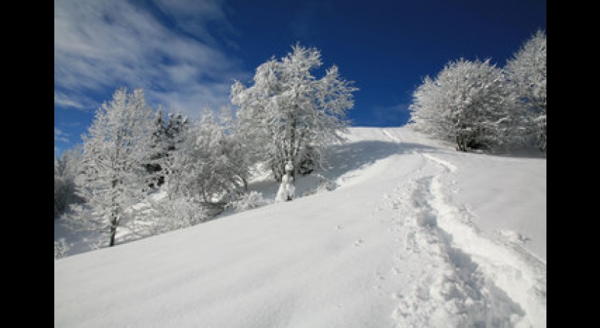 Altitude Nature au pays du Mont-Blanc