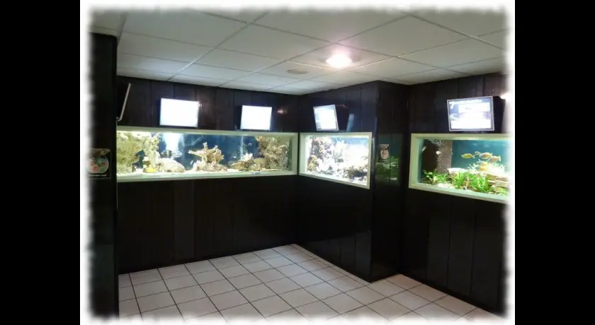 Aquarium de Saint Chamond (Loire, 42)