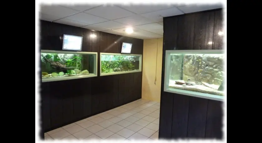Aquarium de Saint Chamond (Loire, 42)
