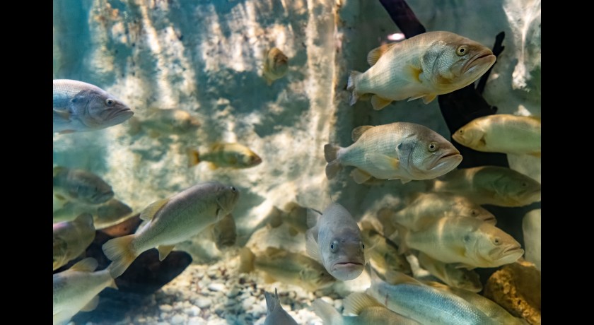 Aquarium du Périgord Noir