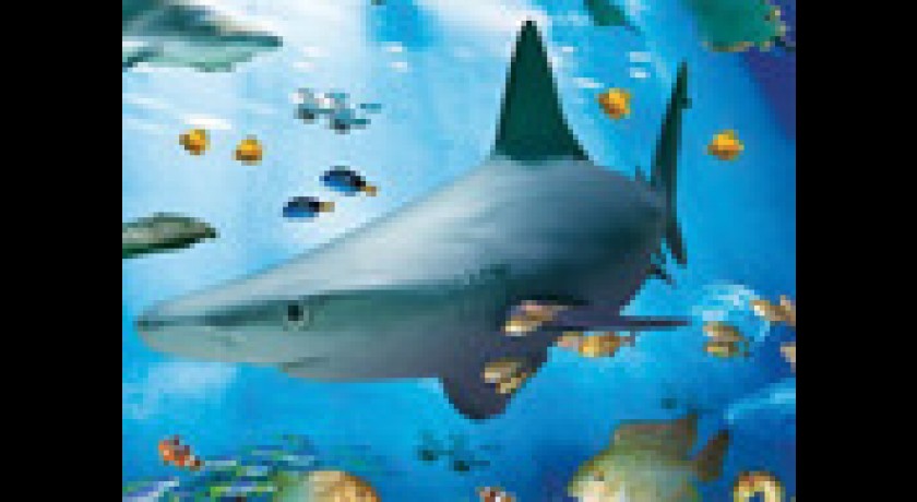 Aquarium sea life val d'europe marne la vallée Chessy tourisme