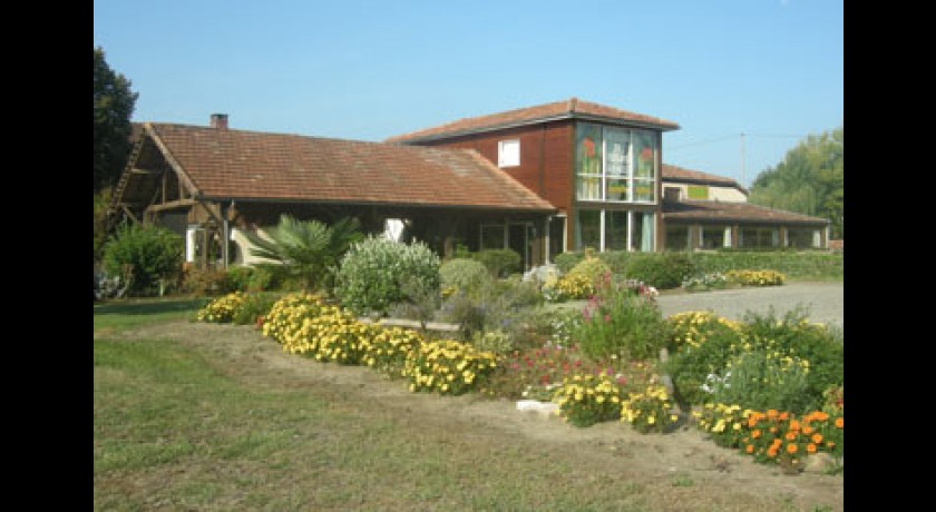 Atelier de fleurs séchées