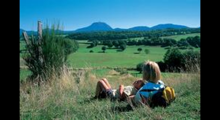 Balades estivales du Parc naturel régional des Volcans d'Auvergne