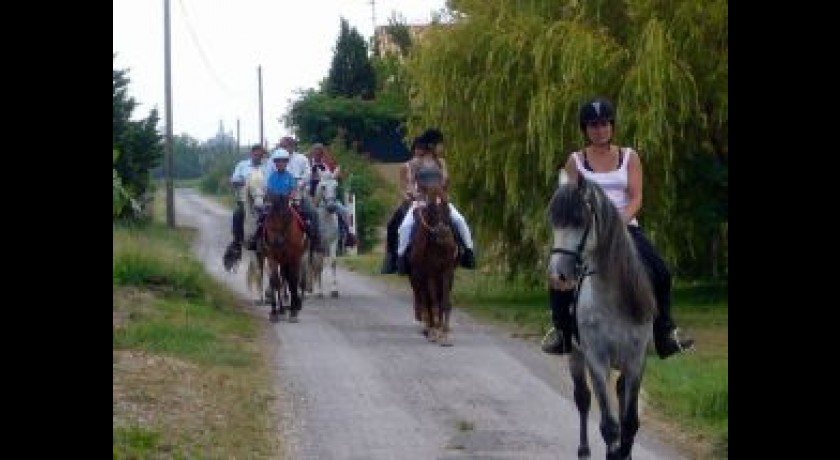 Ballade à cheval et poney